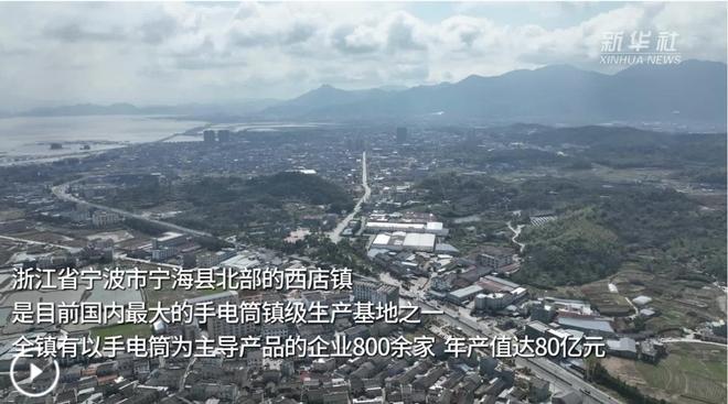 0家小厂包机出海狂揽80亿称霸全球瓦利棋